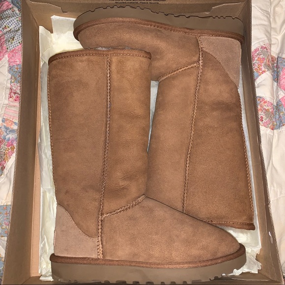 super tall ugg boots